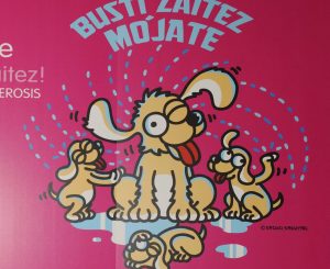 Organizadores Mójate-Busti Zaitez