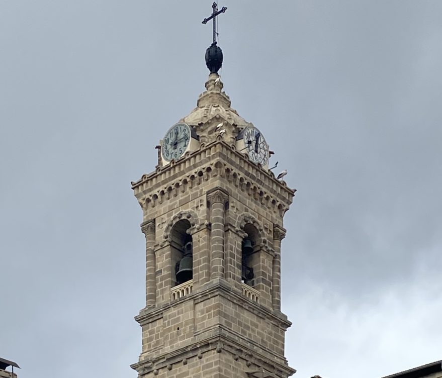 Cigüeñas torre de San Vicente