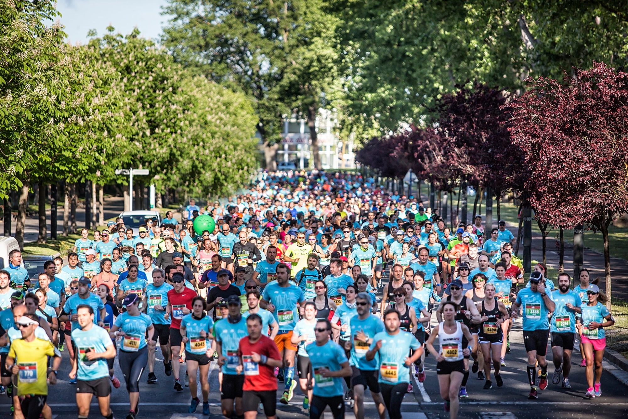 Recorrido de la Maratón Martín Fiz 2024 en Vitoria-Gasteiz este domingo