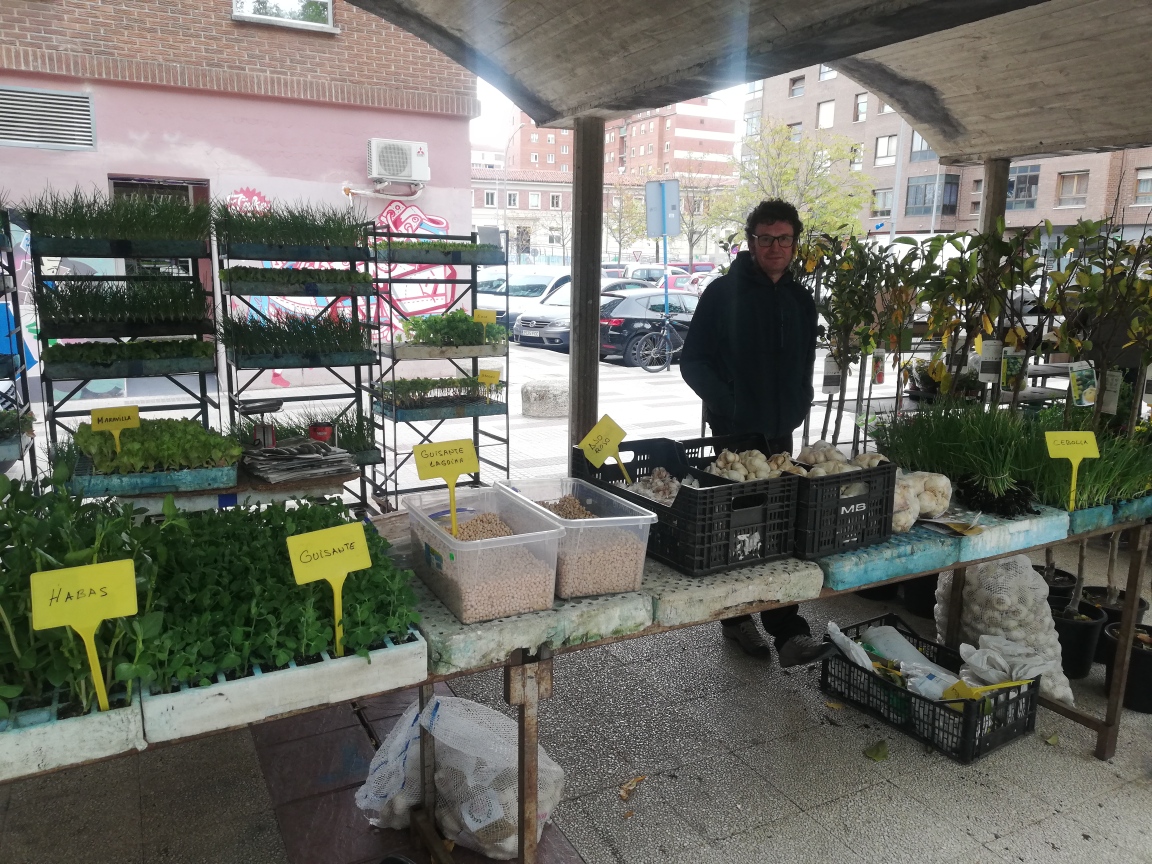 Mercado Simón Bolivar plantas