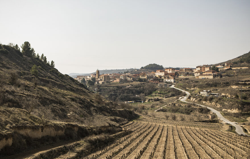 Lapuebla de Labarca vino pueblos alava