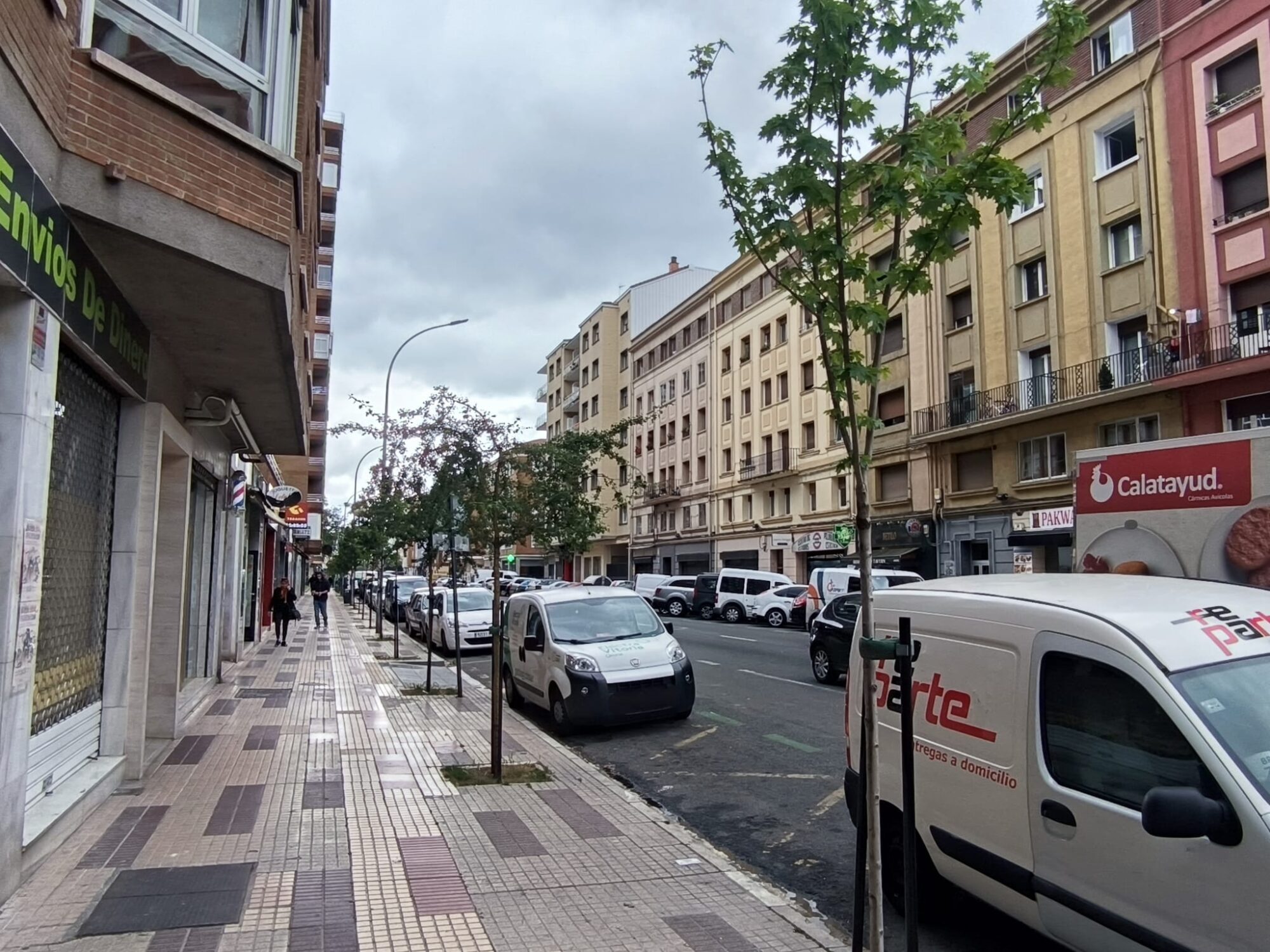 arboles futuro Vitoria calle Santiago