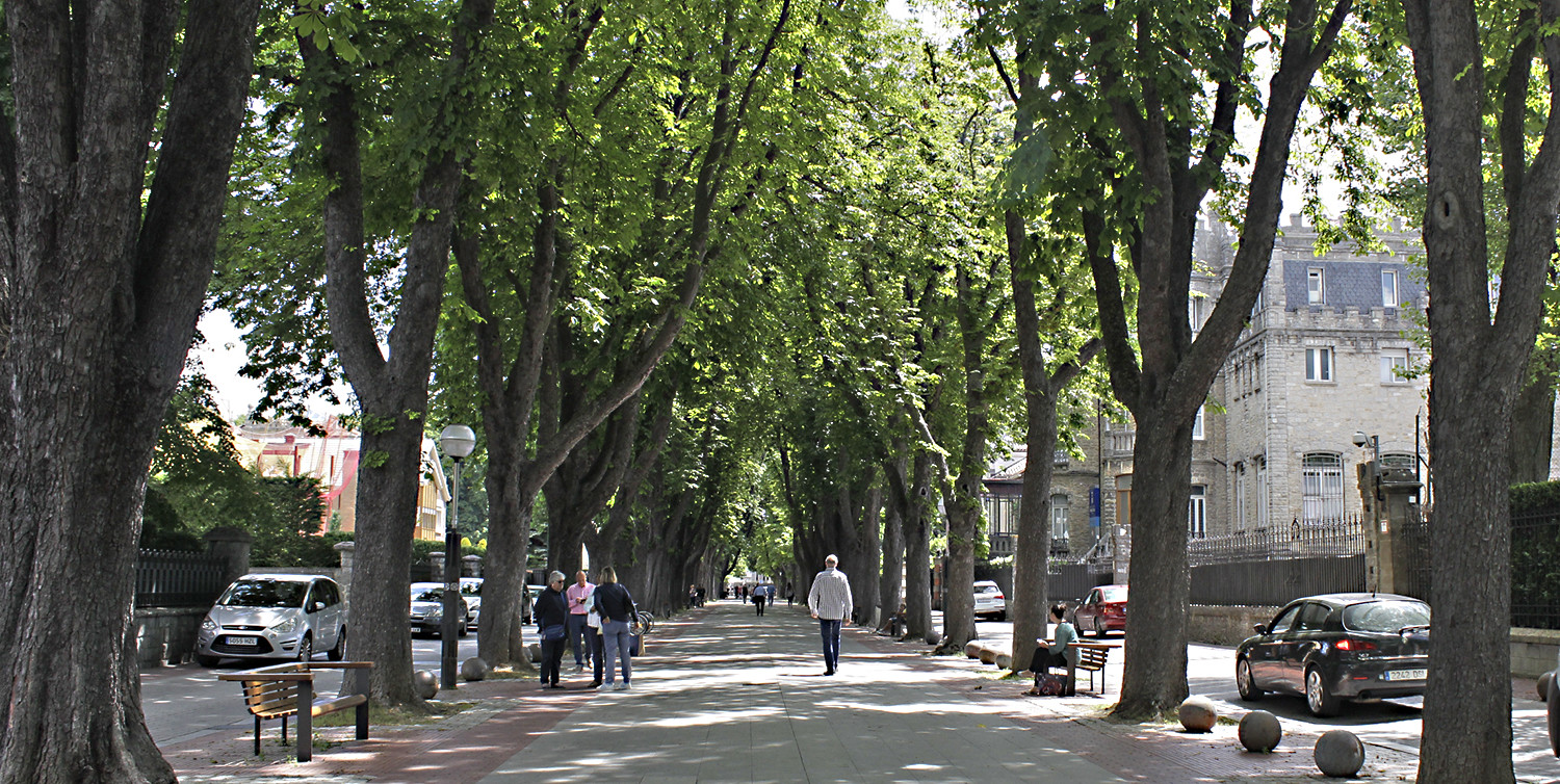 Estas 33 calles de Vitoria mejorarán su iluminación