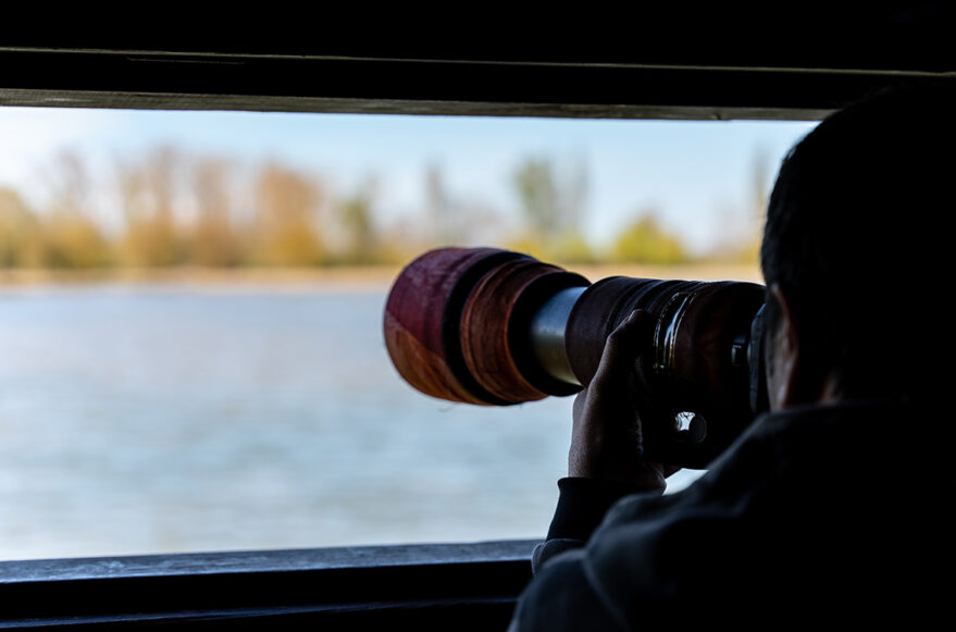 Birding Vitoria Salburua